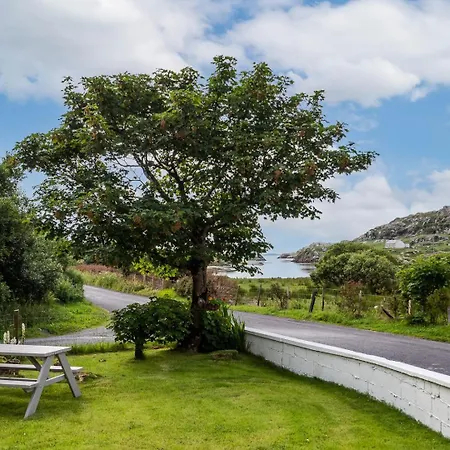 Kings 1 390 * Gowlaun